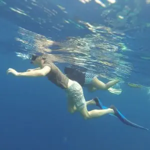 Diving in the Maldives