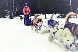 party in an Ice Cave