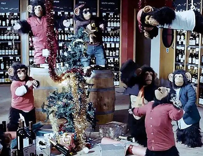Chimps leave Christmas surprise after breaking into this shop