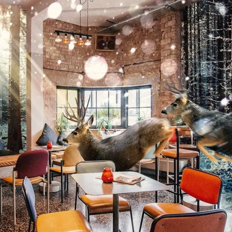 Brighton club Patterns gets a winter makeover