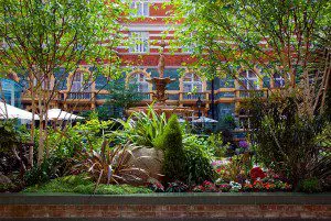 green outdoor courtyard in hotel