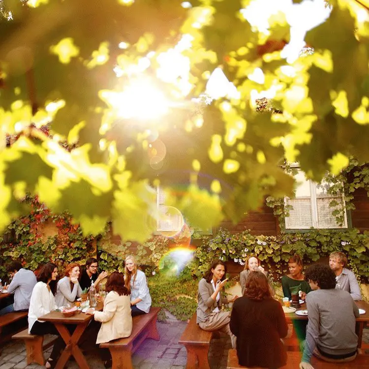 Brewing up a Sturm – cultured drinking in Vienna