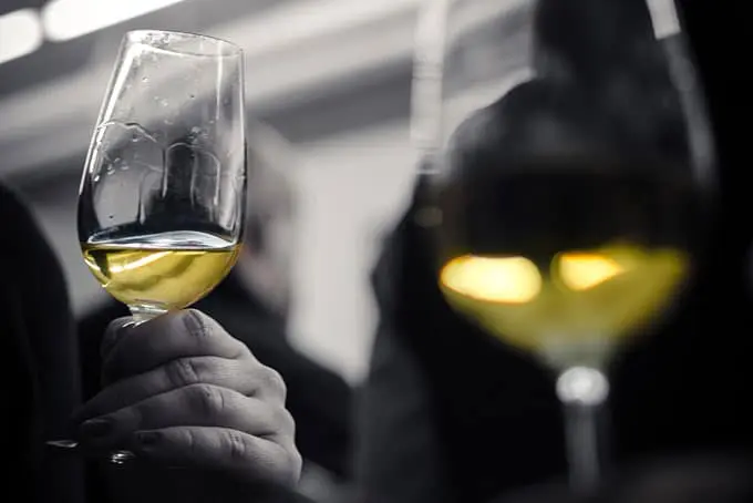 How to become a connoisseur on new & old world wines