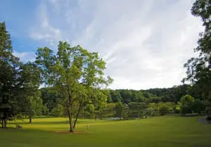 move to Northern Virginia