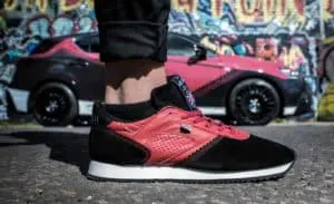 trainer collaboration, lexus trainers, walsh trainers