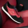 trainer collaboration, lexus trainers, walsh trainers