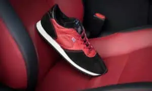 trainer collaboration, lexus trainers, walsh trainers
