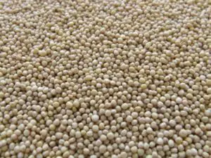 insulation options for your home