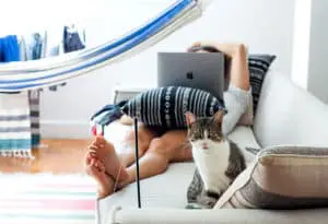 preparing your home for a pet