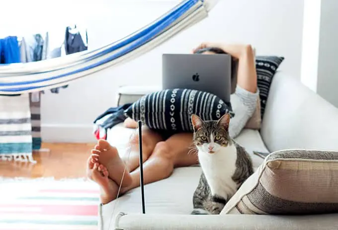 Tips for preparing your home for a pet