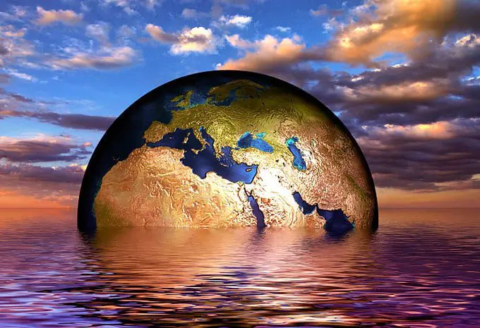 5 wins for the environment in 2019