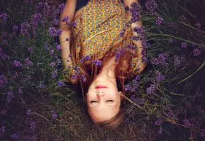 fragrance ingredients