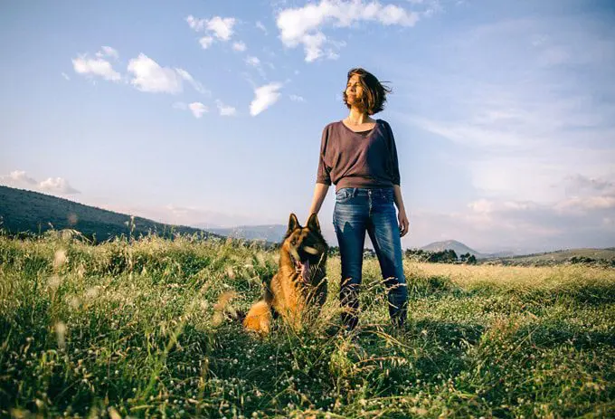 The top places in the UK for dog walking