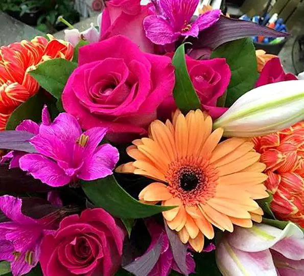 Guidelines to follow when buying flowers