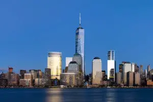 New York City survival