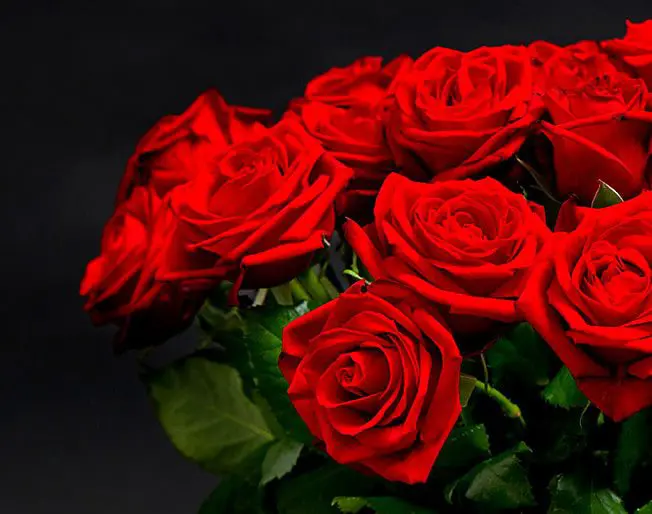 Talking bouquets… how to buy the right flowers for your loved ones