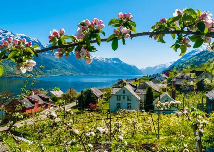 Fjord focus: discovering Norway’s most dramatic landscape