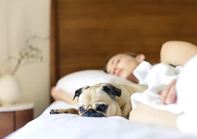 Sleep paralysis and how to enjoy a stress-free sleep