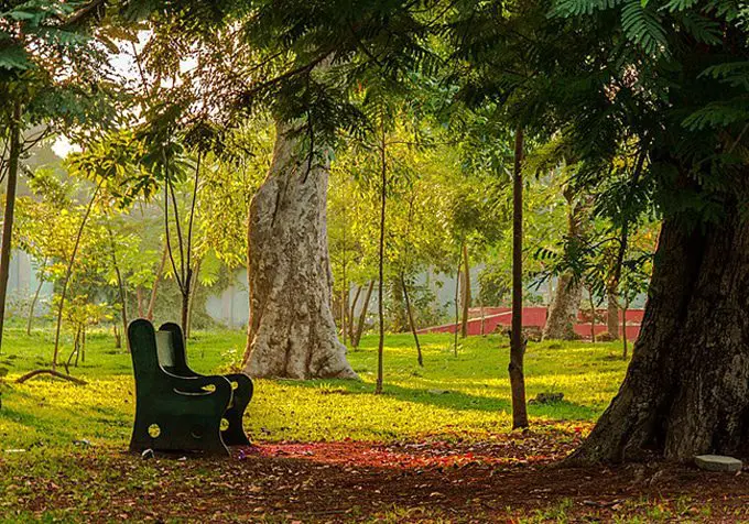 travel to Pondicherry