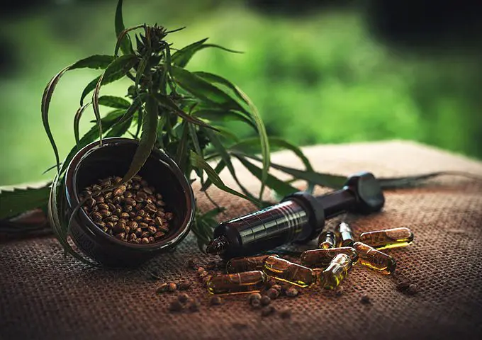 CBD Suppositories vs. CBD Edibles – what to think about when buying