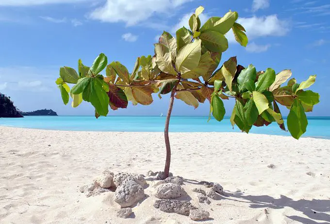 The most beautiful beaches around the world