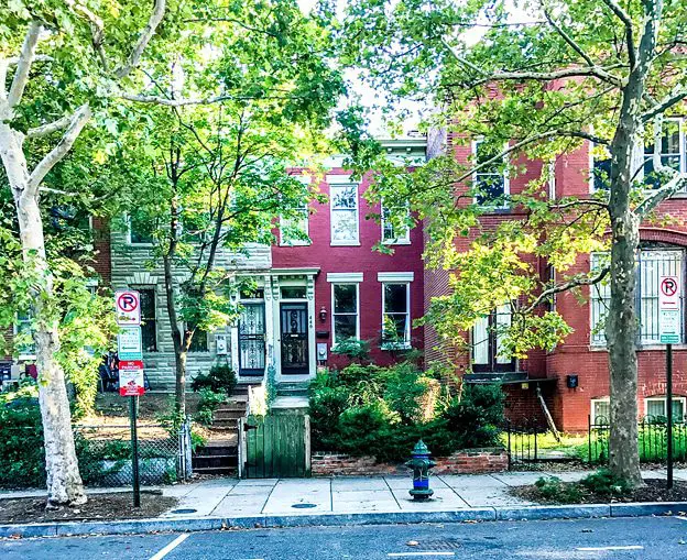 Finding a tranquil state to lay down roots