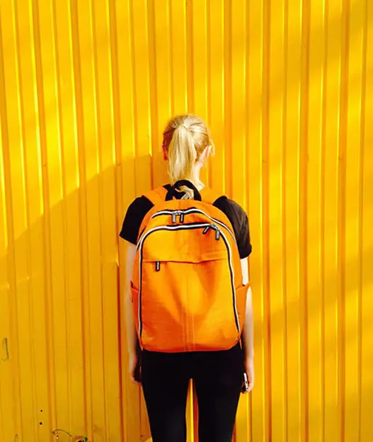 Backpack rends 2020