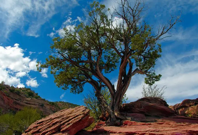 Why Colorado is a great destination for short getaways?