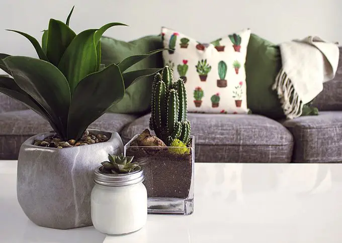 Best first visit ideas for new homeowners