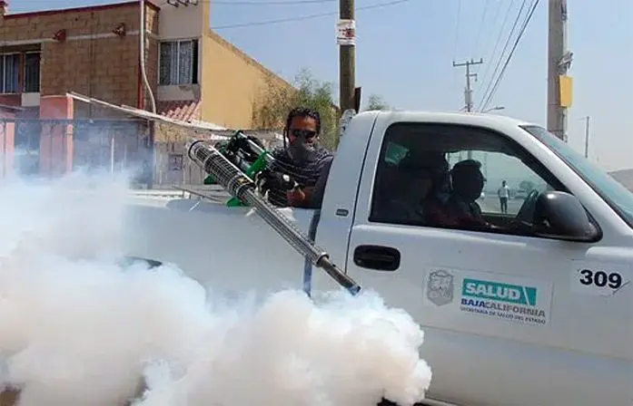 Natural ways to control pests in your home