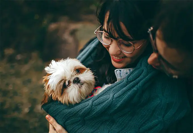 How to be a responsible dog owner in 8 ways