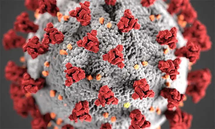 employees wellbeing covid 19