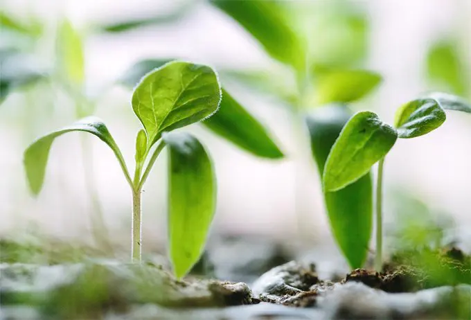 creative eco solutions