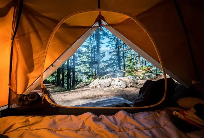 Must-Have Essentials For The Best Camping Experience