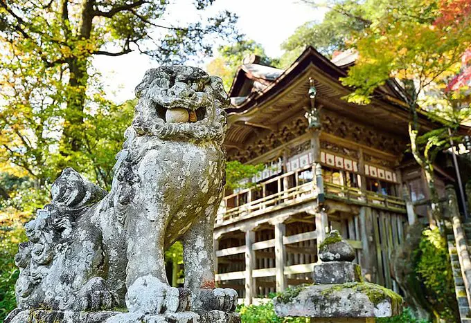 6 Tips for a Japan Trip