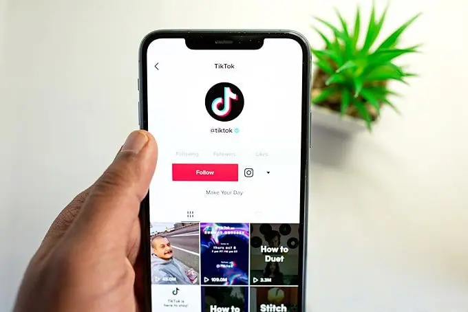 tiktok brand