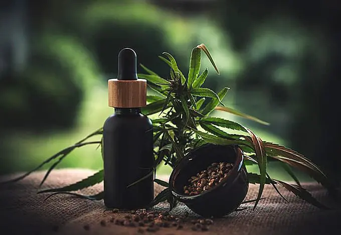 5 Everyday Uses of Hemp