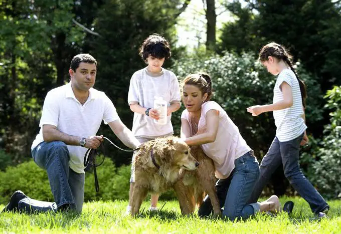 How to prepare for bringing home your new rescue