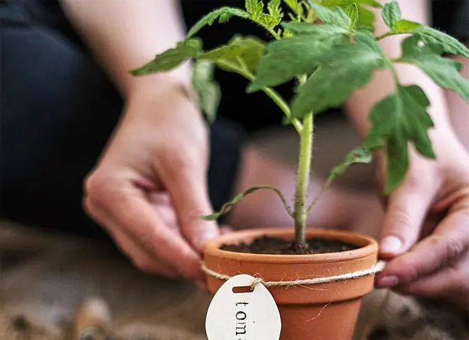 How Can You Be More Environmentally Friendly