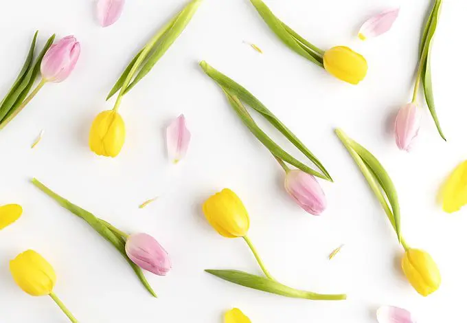 8 Great Mother’s Day Gift Ideas