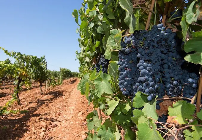 The 3 Best Activities to Try on Mallorca Holidays