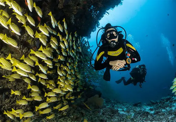 6 Tips To Help You Become A Better Diver
