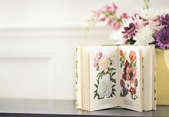 Why Illustration Is So Important in the World of Publishing