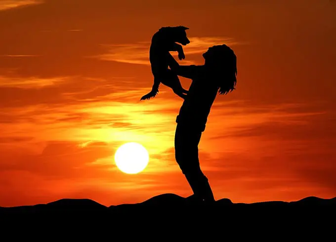 4 Important Things to Know Before Adopting a Puppy