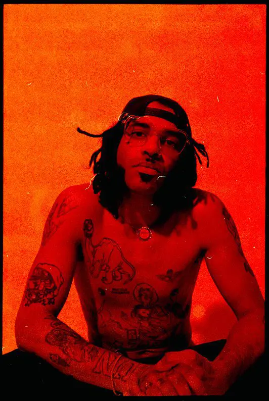 Velvet Negroni album bulli