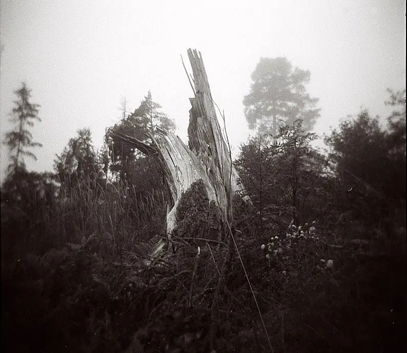 From the Shadows – Danny Larsen playing with the light