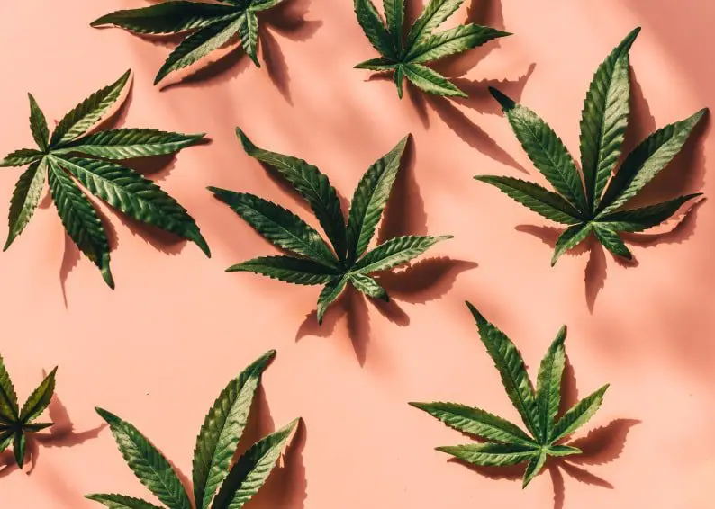 Medical Marijuana Card Requirements: Top Things You Need To Know       