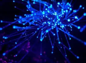 Hyperconverged Infrastructure