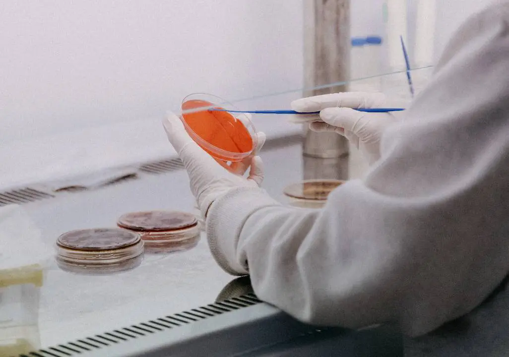 Sundowning Among Alzheimer's Patients