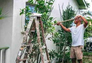 Most Common Siding Problems